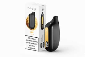 FLONQ 10K PUFFS DISPOSABLE VAPE - 5% NICOTINE